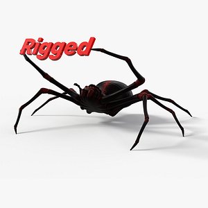 3D spider 8k pbr rigged model