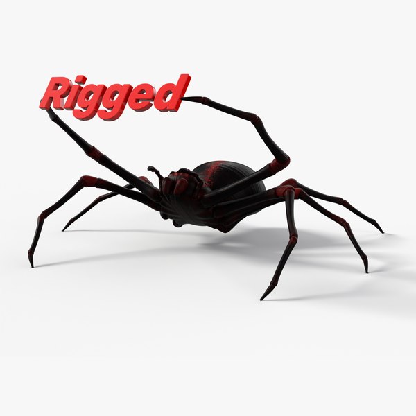 3D spider 8k pbr rigged model