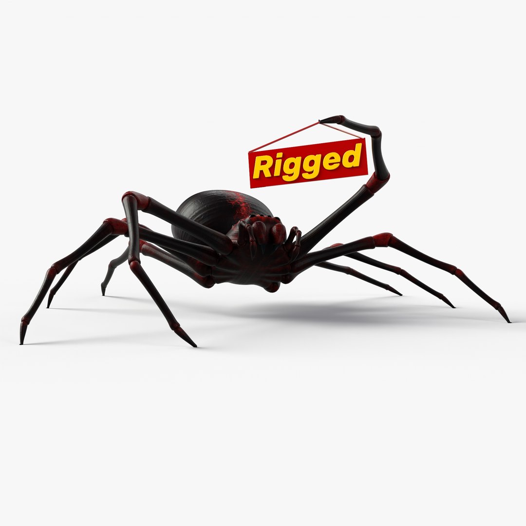 3D Spider 8k Pbr Rigged Model - TurboSquid 1648782