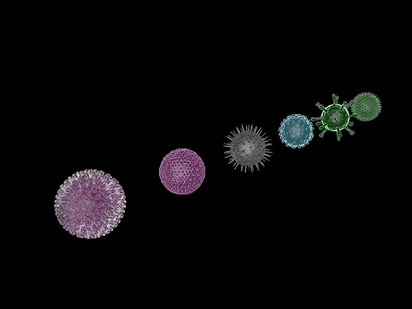 Viruses 3D - TurboSquid 1938035