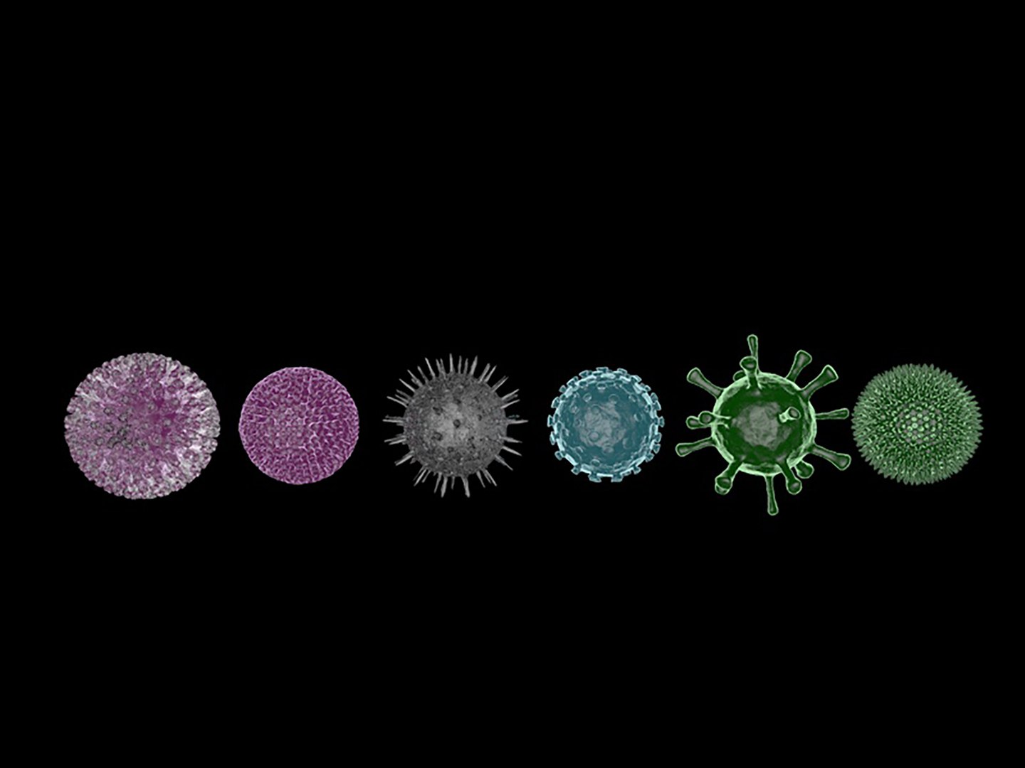 Viruses 3D - TurboSquid 1938035