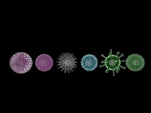 viruses 3D