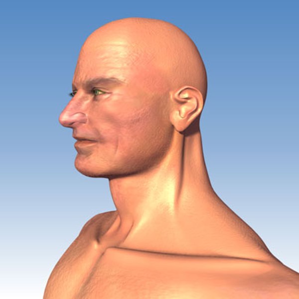 nude adult male 3d model