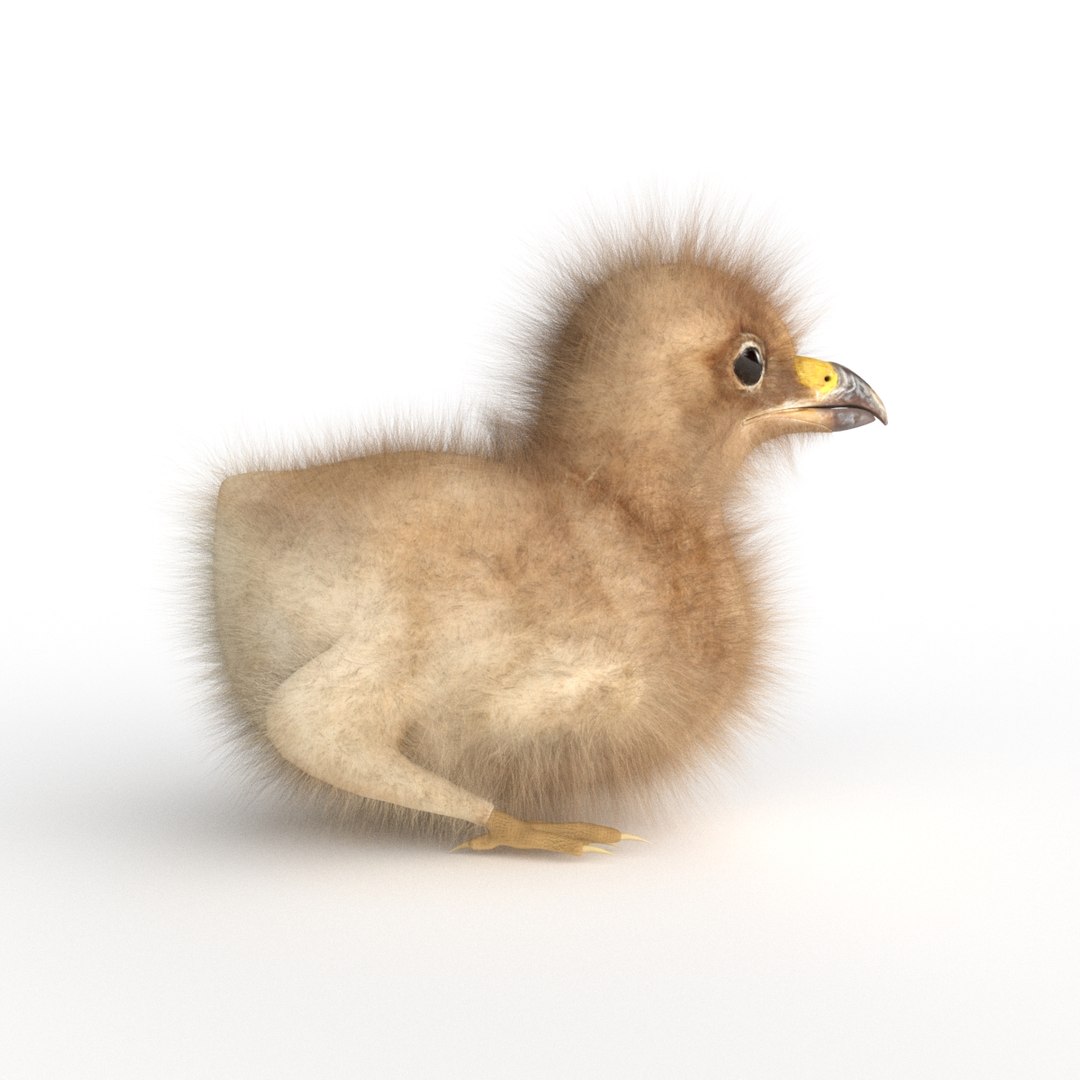 3D baby eagle https://p.turbosquid.com/ts-thumb/Ss/KrQYlb/QJnG2sq3/03/jpg/1523737870/1920x1080/fit_q87/0a78a307f3dc8111abc69381ece3dd3b4234acca/03.jpg