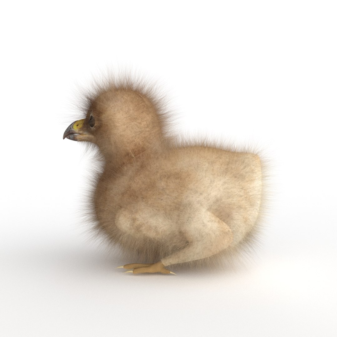 3D baby eagle https://p.turbosquid.com/ts-thumb/Ss/KrQYlb/mGXBMAcZ/09/jpg/1523737870/1920x1080/fit_q87/6f49287d5d2c82e1dc3af075dbafaf3862665f9a/09.jpg
