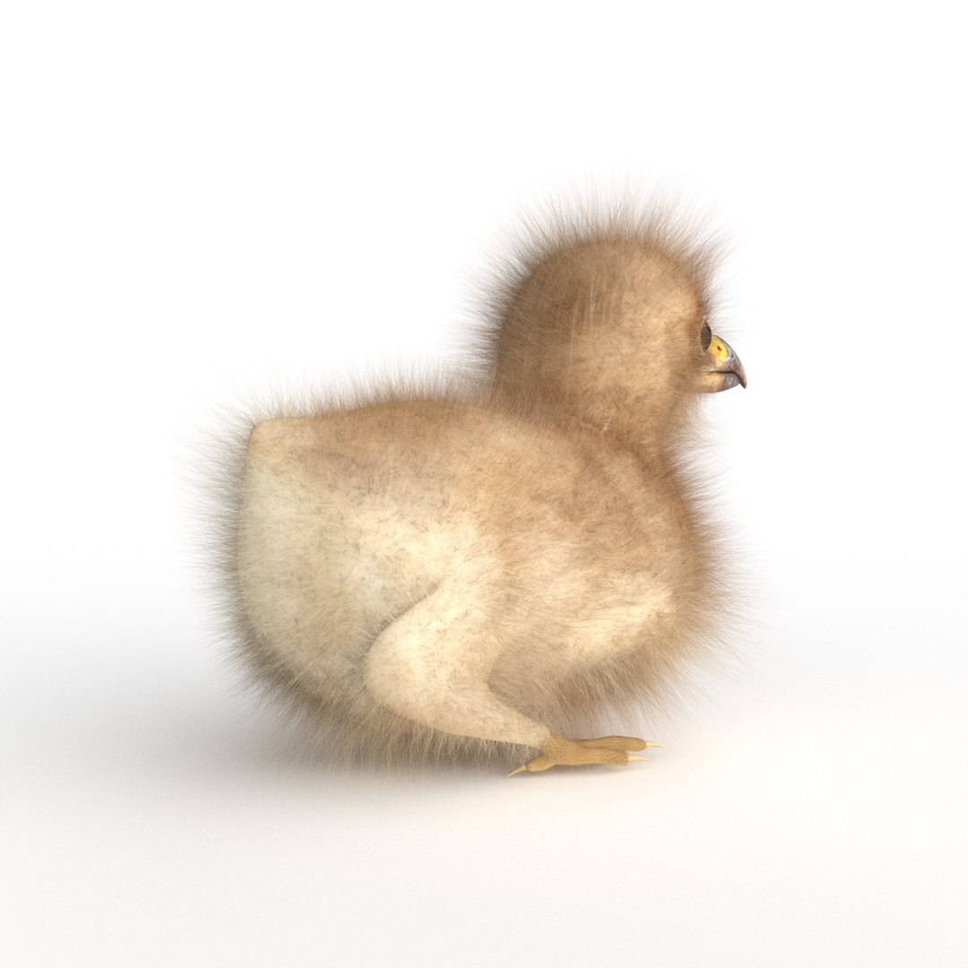 3D baby eagle https://p.turbosquid.com/ts-thumb/Ss/KrQYlb/nOvXZ5sK/04/jpg/1523737870/1920x1080/fit_q87/fa0f809421fdee9fb094d8841778db9e201c78cd/04.jpg