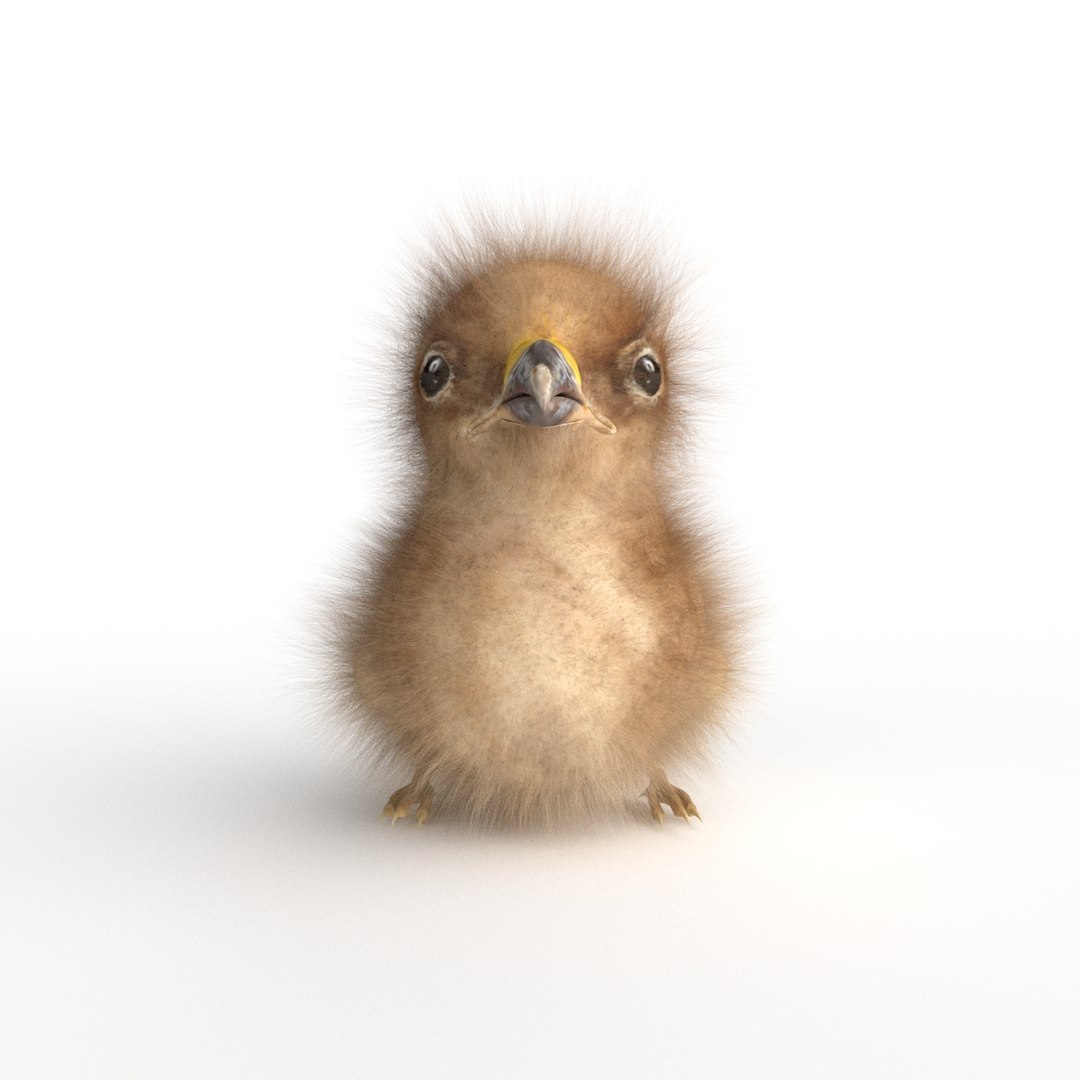 3D baby eagle https://p.turbosquid.com/ts-thumb/Ss/KrQYlb/x1V3uh8R/06/jpg/1523737870/1920x1080/fit_q87/f6d3fafa827c42edbebcd15c49dc2a80e2ed0382/06.jpg