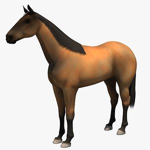 3D horse 9 variation model