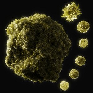 Moss Sphere Set Low Poly