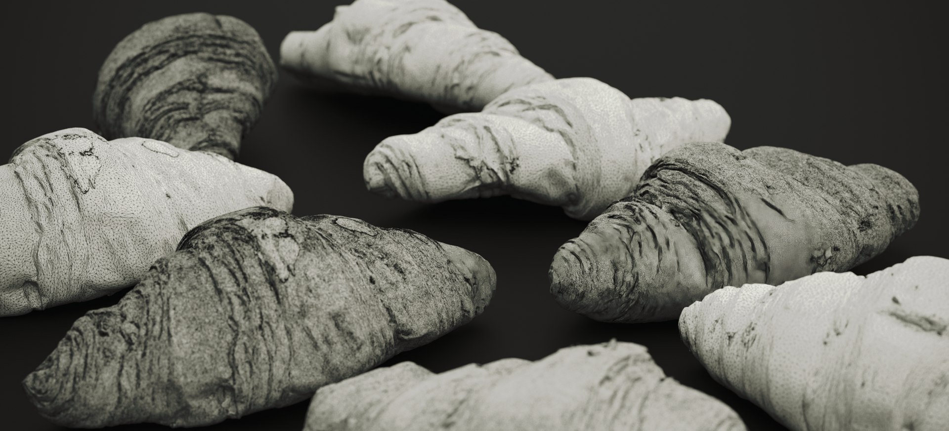 3D CROISSANT 2023 https://p.turbosquid.com/ts-thumb/Ss/YgIuNp/T6/croissant2023img019/jpg/1693814913/1920x1080/fit_q87/08a3b249fedf4b76de8d3be7887239103889216d/croissant2023img019.jpg