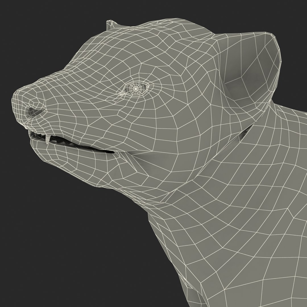 tasmanian devil fur pose 3d max https://p.turbosquid.com/ts-thumb/Ss/baVFLs/6WIty20v/tasmaniandevilfurpose2_29/jpg/1384521175/1920x1080/fit_q87/dd15b2c8ab19ded96da605e568a7a27fa72d1bb0/tasmaniandevilfurpose2_29.jpg