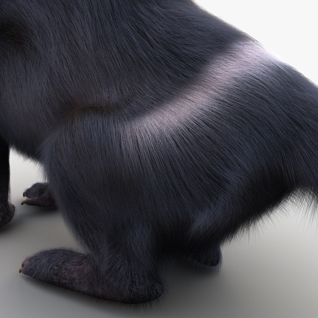 tasmanian devil fur pose 3d max https://p.turbosquid.com/ts-thumb/Ss/baVFLs/C64Mmahy/tasmaniandevilfurpose2_19/jpg/1384521147/1920x1080/fit_q87/3c29eab0e935ee11d7b6014b57141540d12af176/tasmaniandevilfurpose2_19.jpg
