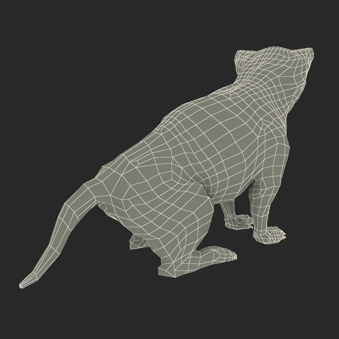 tasmanian devil fur pose 3d max https://p.turbosquid.com/ts-thumb/Ss/baVFLs/HsWQveDw/tasmaniandevilfurpose2_26/jpg/1384521167/1920x1080/fit_q87/45210e9a5492f40a3ce59f1ec9a1ad20b1cfb6f1/tasmaniandevilfurpose2_26.jpg