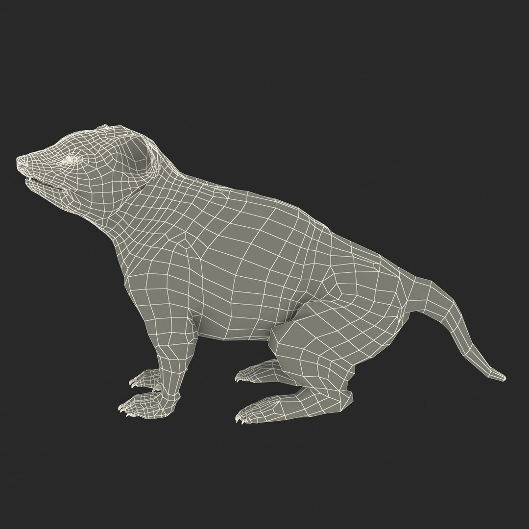 tasmanian devil fur pose 3d max https://p.turbosquid.com/ts-thumb/Ss/baVFLs/IK4yfK34/tasmaniandevilfurpose2_22/jpg/1384521155/1920x1080/fit_q87/cd7ae3d529d75cc6d319f653a9989d8088f9240d/tasmaniandevilfurpose2_22.jpg