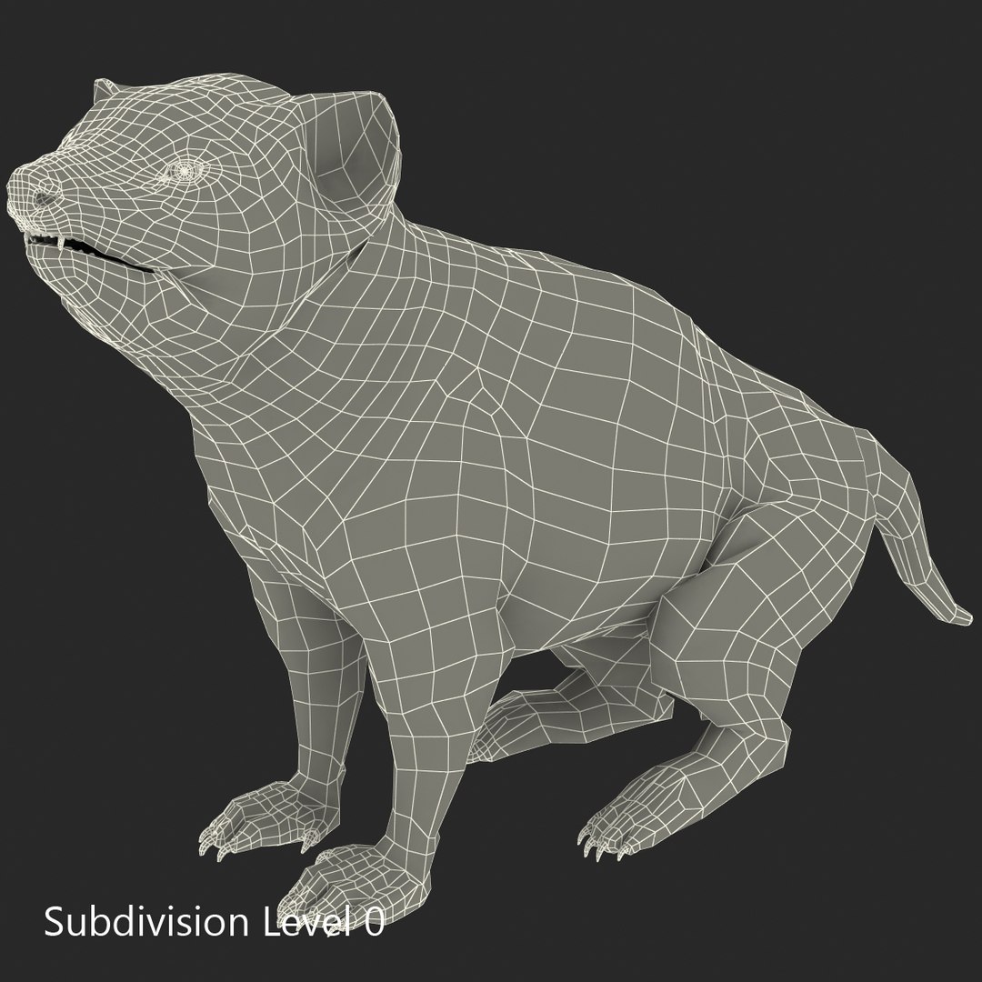 tasmanian devil fur pose 3d max https://p.turbosquid.com/ts-thumb/Ss/baVFLs/INk6HKOH/tasmaniandevilfurpose2_8/jpg/1384521114/1920x1080/fit_q87/11c618777109c61497f76a425da86078534eacb4/tasmaniandevilfurpose2_8.jpg