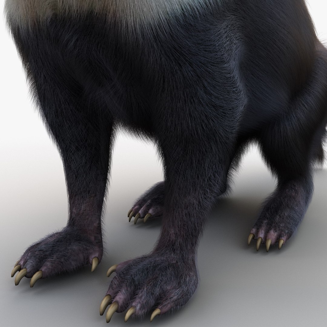 tasmanian devil fur pose 3d max https://p.turbosquid.com/ts-thumb/Ss/baVFLs/SQvkTdWI/tasmaniandevilfurpose2_17/jpg/1384521140/1920x1080/fit_q87/26d140619d3b5cf2c43d001c3d1658983d08cef5/tasmaniandevilfurpose2_17.jpg