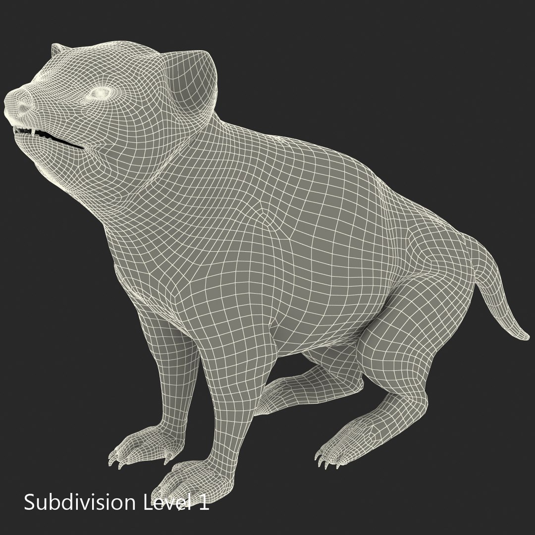 tasmanian devil fur pose 3d max https://p.turbosquid.com/ts-thumb/Ss/baVFLs/TrsmN5jN/tasmaniandevilfurpose2_9/jpg/1384521110/1920x1080/fit_q87/d7a393b6d2ac096f08c98389c6a796f5b7d5cf11/tasmaniandevilfurpose2_9.jpg