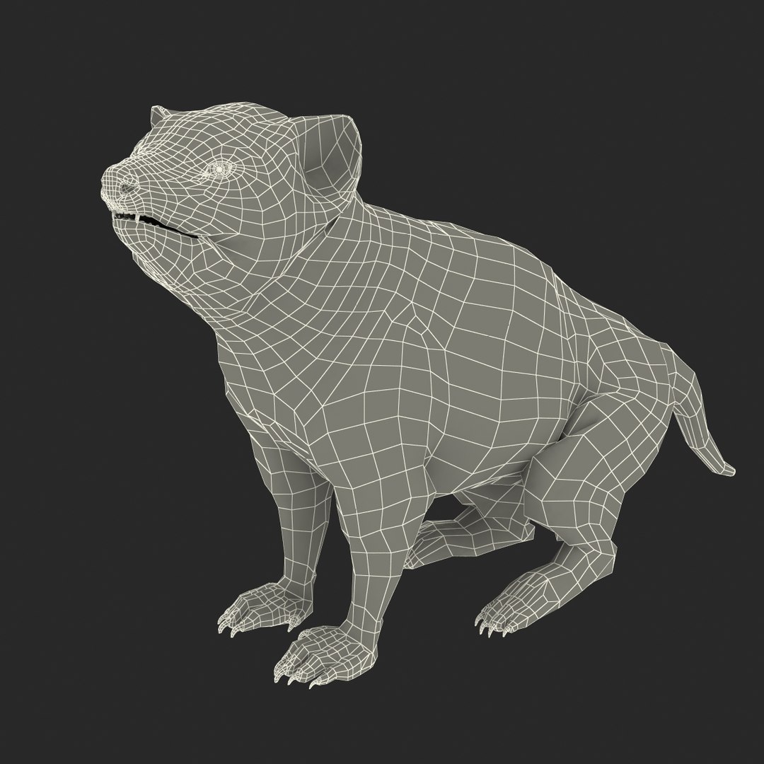 tasmanian devil fur pose 3d max https://p.turbosquid.com/ts-thumb/Ss/baVFLs/jIRFrp2q/tasmaniandevilfurpose2_23/jpg/1384521167/1920x1080/fit_q87/bb745733b9cb609ed1c0750f26d9ece1440a287d/tasmaniandevilfurpose2_23.jpg