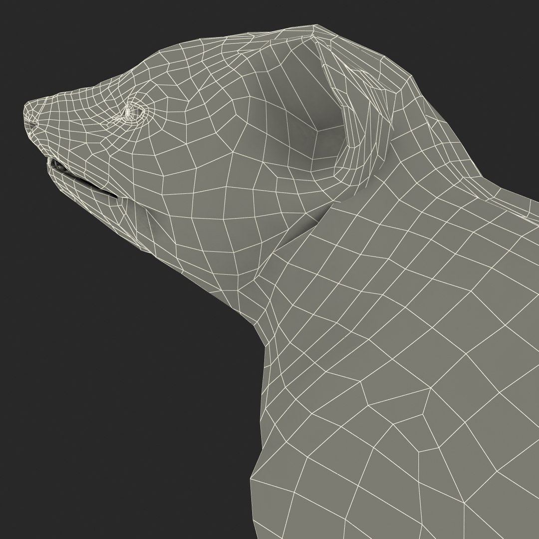 tasmanian devil fur pose 3d max https://p.turbosquid.com/ts-thumb/Ss/baVFLs/m6F8kB8K/tasmaniandevilfurpose2_34/jpg/1384521194/1920x1080/fit_q87/3aab56735bf40dd15d7ce632a71455860098ad2f/tasmaniandevilfurpose2_34.jpg