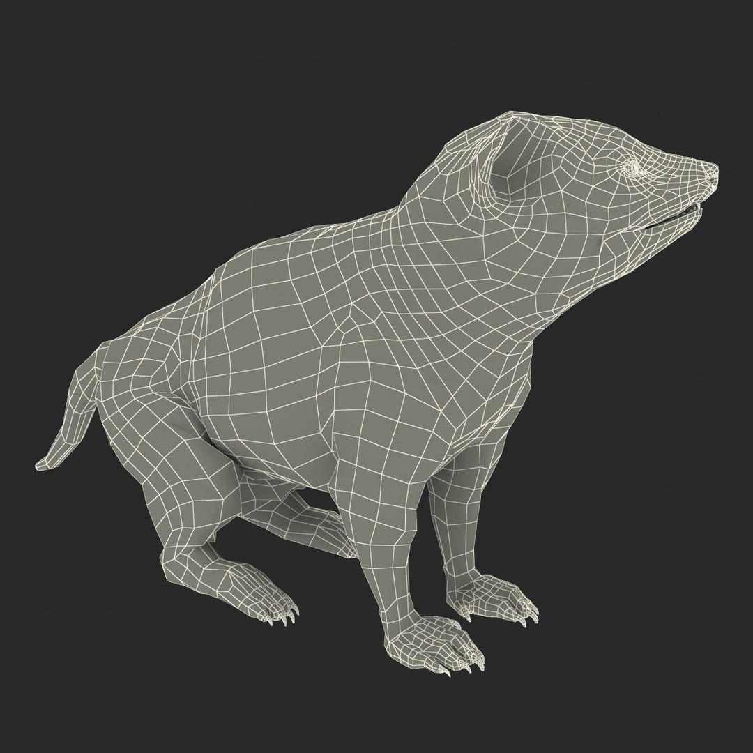 tasmanian devil fur pose 3d max https://p.turbosquid.com/ts-thumb/Ss/baVFLs/vuof7d7S/tasmaniandevilfurpose2_24/jpg/1384521170/1920x1080/fit_q87/c2d54e566b480203a93684f001e57c67d3a4dd14/tasmaniandevilfurpose2_24.jpg