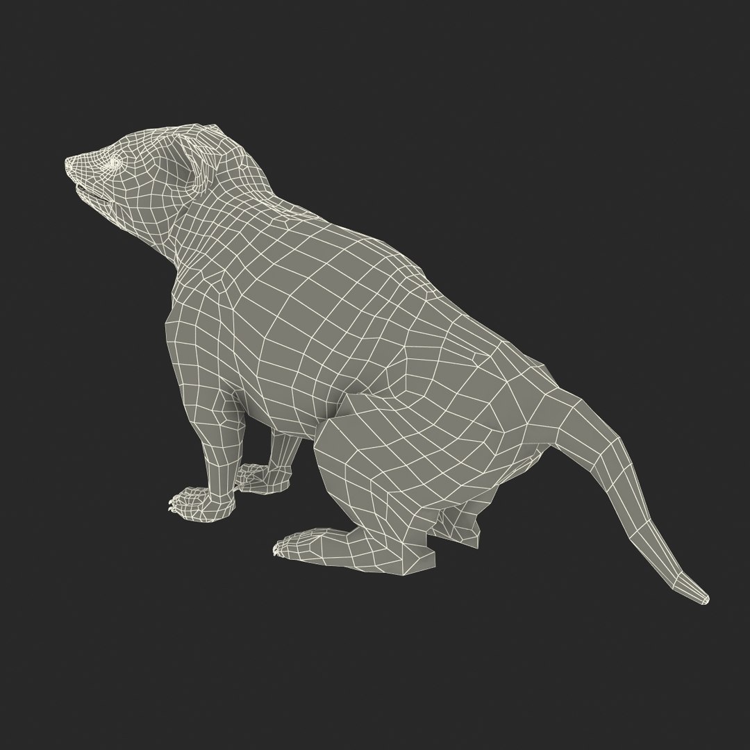 tasmanian devil fur pose 3d max https://p.turbosquid.com/ts-thumb/Ss/baVFLs/yRUjqb1h/tasmaniandevilfurpose2_27/jpg/1384521170/1920x1080/fit_q87/3e1df3e5906f70432a82f6cd3061c92616aca29d/tasmaniandevilfurpose2_27.jpg