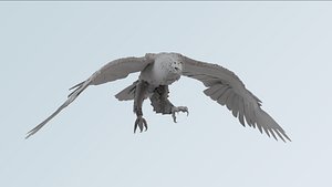 3D golden eagle model