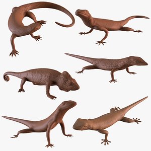 3D Printable lizards model