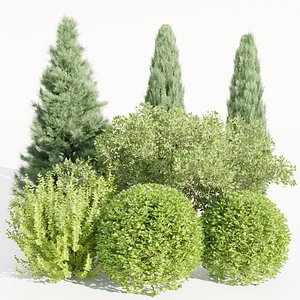 3D Plants for outdoor collection vol 231-Blender-3dmodel