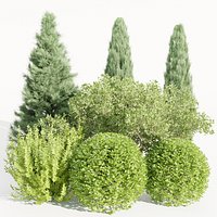 Plants for outdoor collection vol 231-Blender-3dmodel