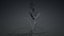 Arthropode