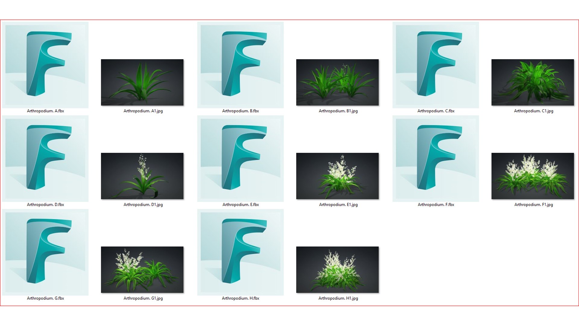 3D Arthropodium https://p.turbosquid.com/ts-thumb/St/1pJXu0/hV/arthropodium.b01/jpg/1726751894/1920x1080/fit_q87/e02c9aa57dcdb5504ec12d38834fcd5348243ce3/arthropodium.b01.jpg