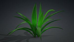 3D Arthropodium