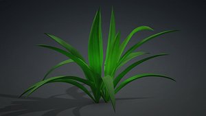 Arthropodium