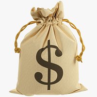 Money Bag V3