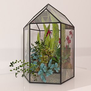 3D floriana orchids model