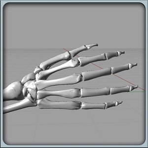Arm Bones Solidworks