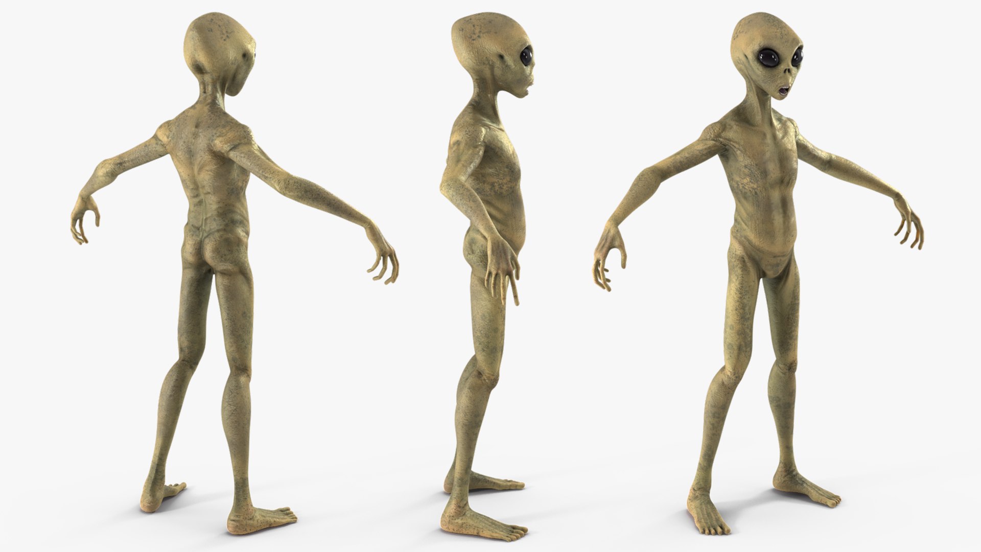 3D Humanoid Alien Creature Rigged For Modo Model - TurboSquid 1882961