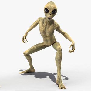 3D Humanoid Alien Creature Rigged for Modo model