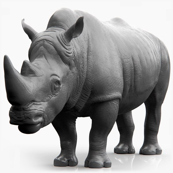 realistic rhino model