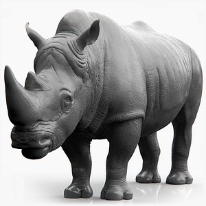 Rhino Sculpt