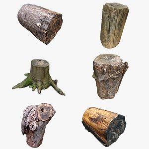 3D model Tree Stump Collection 14