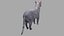 3D Grey cat OBJ