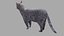 3D Grey cat OBJ