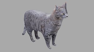 3D Grey cat OBJ