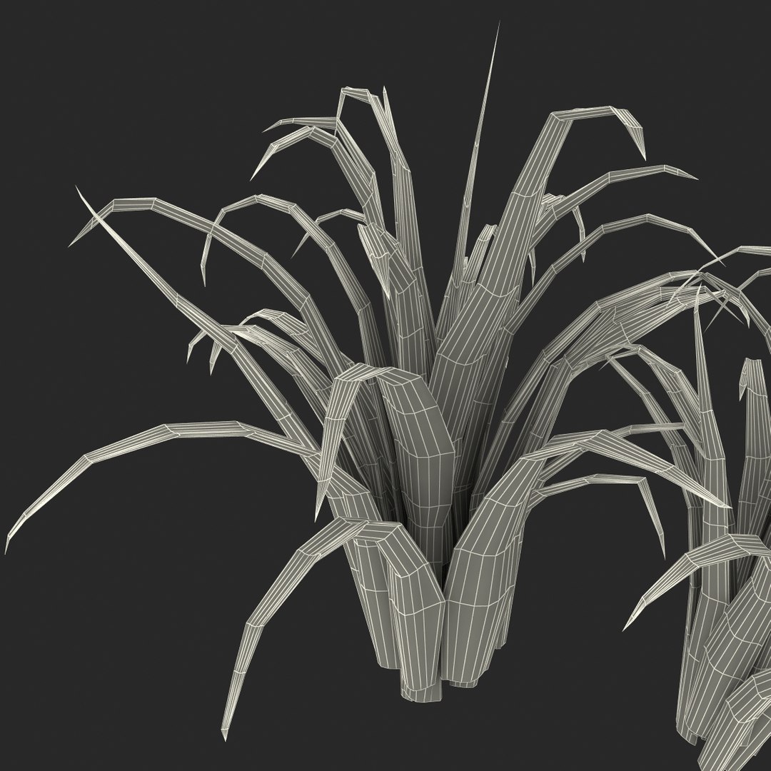 3d shrub dracaena https://p.turbosquid.com/ts-thumb/Su/1g5oQI/HUogZYFo/shrubdracaena_33/jpg/1395770610/1920x1080/fit_q87/56bb5f5d419fb2bfc9dcfa01736c8d47565606af/shrubdracaena_33.jpg