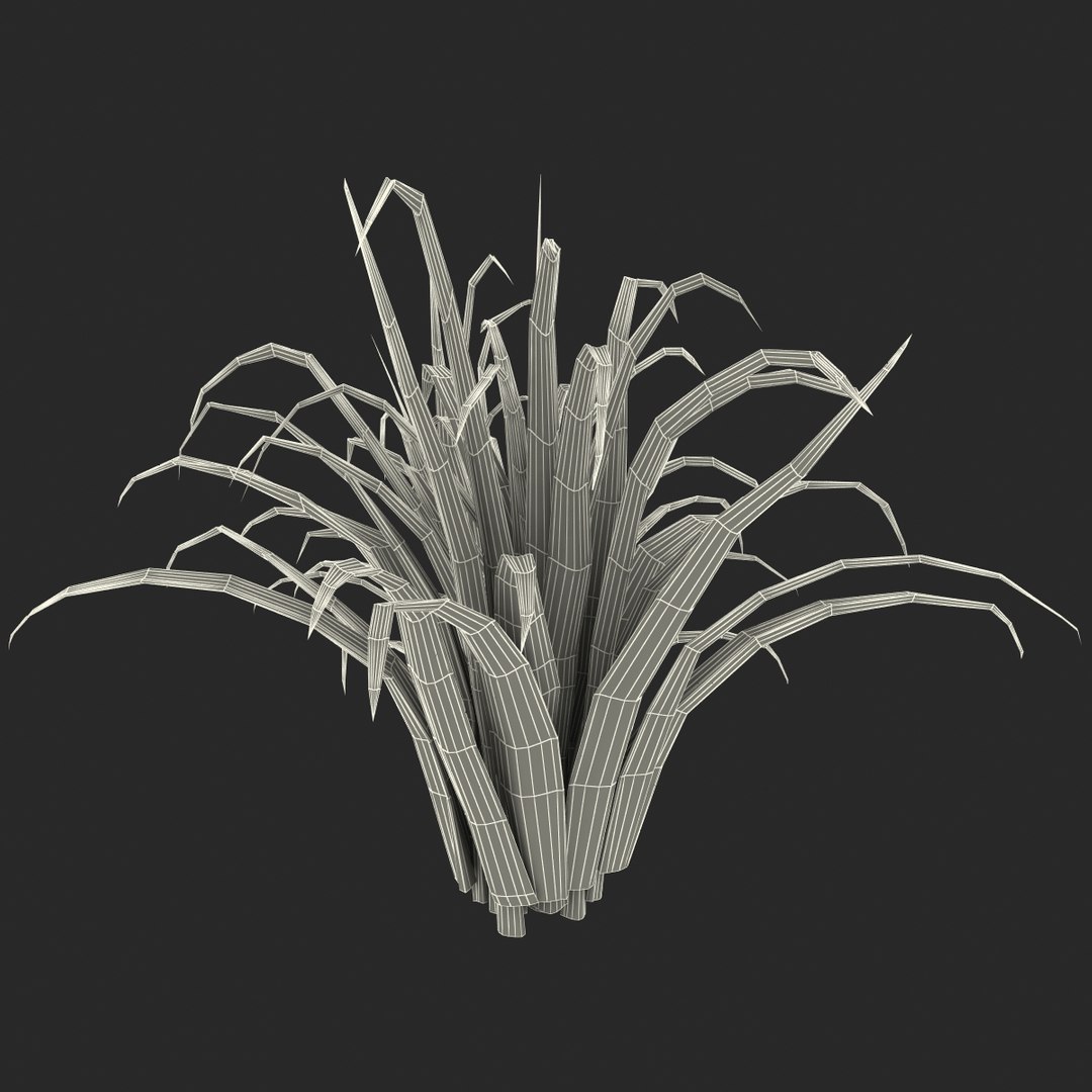 3d shrub dracaena https://p.turbosquid.com/ts-thumb/Su/1g5oQI/IU7NOJV3/shrubdracaena_27/jpg/1395770586/1920x1080/fit_q87/2eb972e8bb9f1cfd70b4b09b386aceb595c14ddc/shrubdracaena_27.jpg