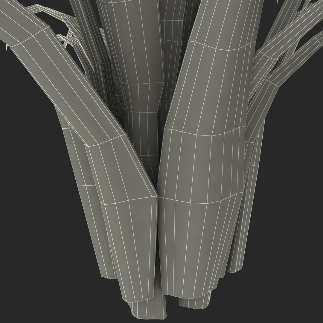 3d shrub dracaena https://p.turbosquid.com/ts-thumb/Su/1g5oQI/IkWHWYIP/shrubdracaena_37/jpg/1395770641/1920x1080/fit_q87/b5ad38453d61346ddbb97f039a3f8d213dff03db/shrubdracaena_37.jpg