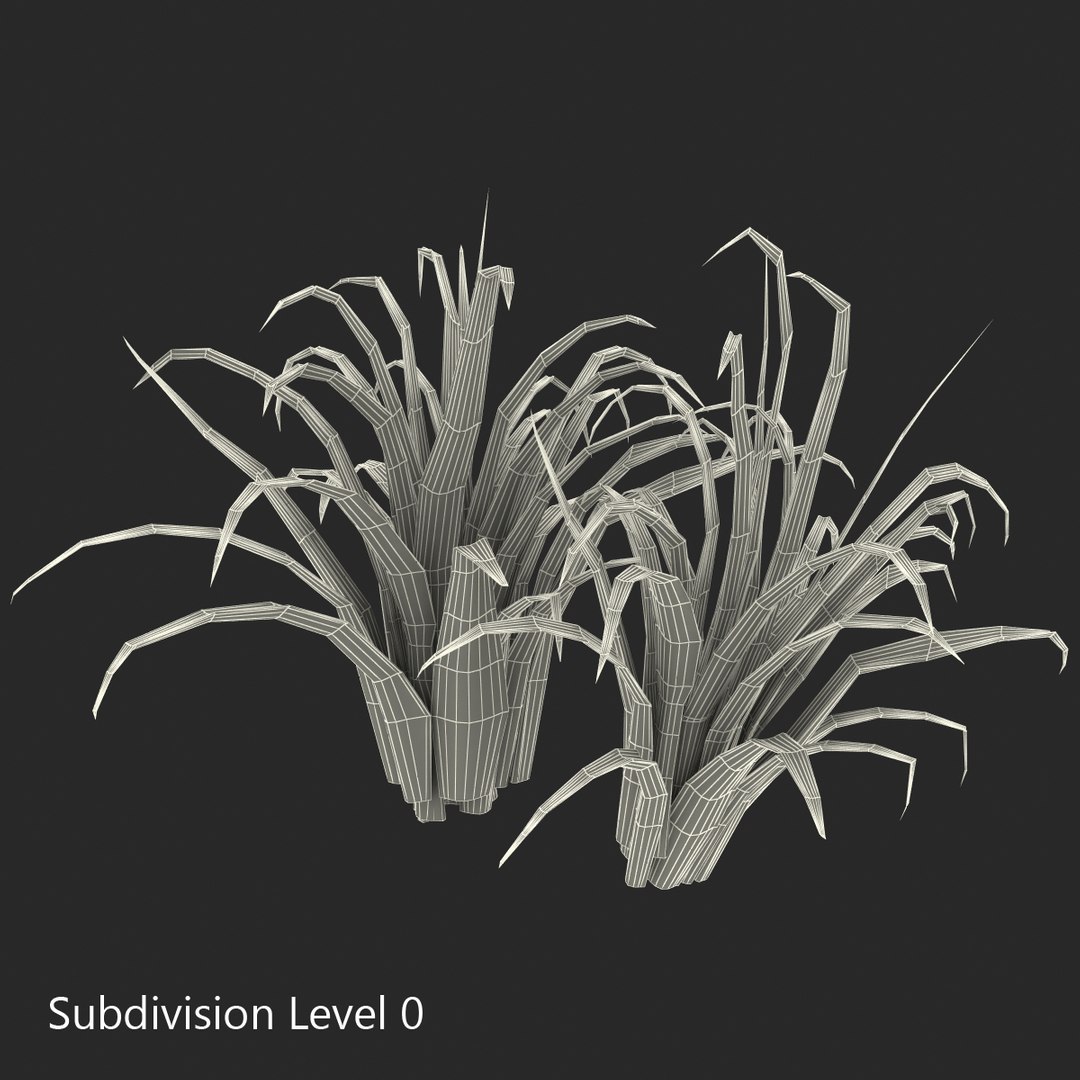3d shrub dracaena https://p.turbosquid.com/ts-thumb/Su/1g5oQI/KpTaHui8/shrubdracaena_8/jpg/1395770502/1920x1080/fit_q87/7645bc698050245e7ed9c86ead7acf1ffc099a95/shrubdracaena_8.jpg