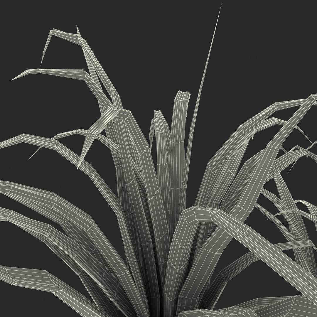 3d shrub dracaena https://p.turbosquid.com/ts-thumb/Su/1g5oQI/TR6Gohec/shrubdracaena_35/jpg/1395770631/1920x1080/fit_q87/c73047e55e343f1f2b80e78dc3b2cf868cf64667/shrubdracaena_35.jpg