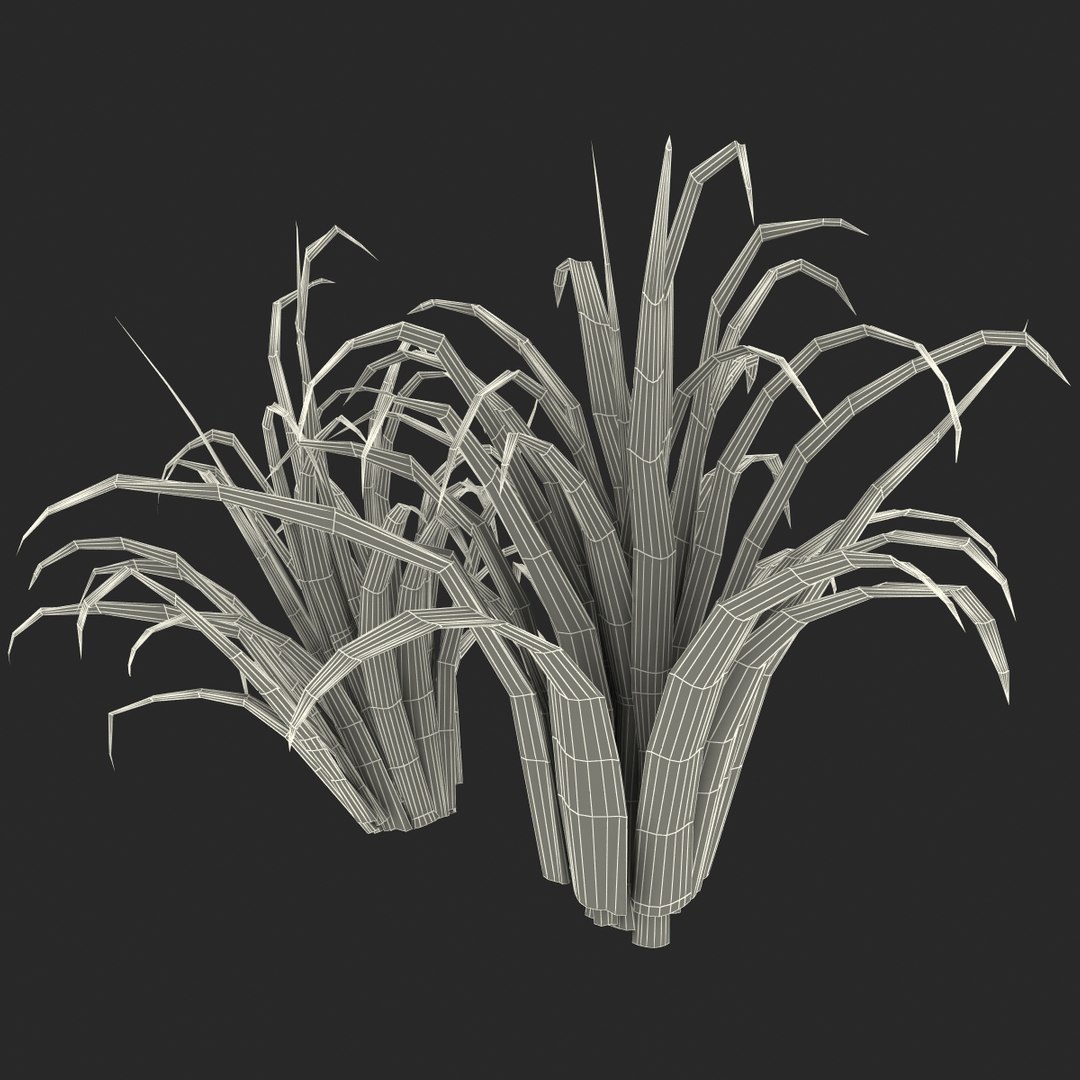 3d shrub dracaena https://p.turbosquid.com/ts-thumb/Su/1g5oQI/c5AFauG1/shrubdracaena_28/jpg/1395770589/1920x1080/fit_q87/85461e5913a137314a08aa78230fac722a6aab92/shrubdracaena_28.jpg